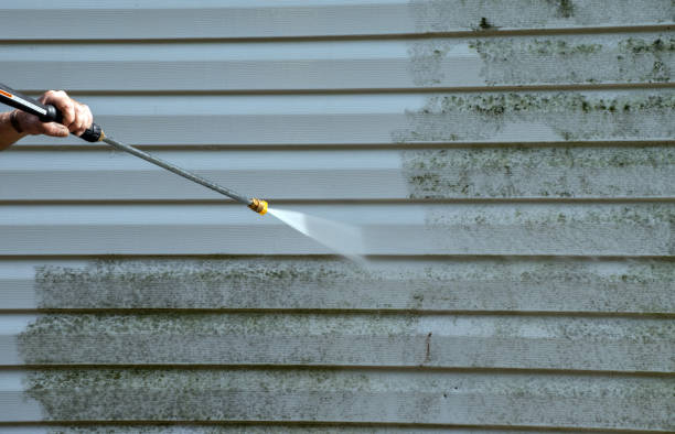 Animal Enclosure Cleaning in Golden Hills, CA